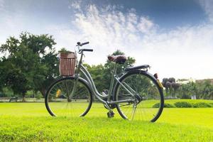 bicicletas en el parque foto