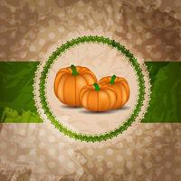 Orange Pumpkin Background Vector Illustration