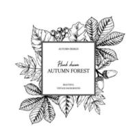 Hand drawn square autumn botanical frame with falling leaves, acorn and berries. Vector illustration in sketch style isolated on white. Realistic forest design elements Space for text