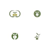 olive icon vector illustration