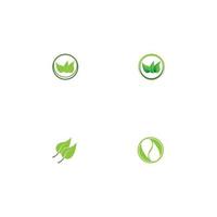 Logos of green Tree leaf ecology vector