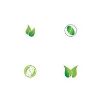 Logos of green Tree leaf ecology vector