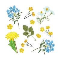 tarjetas florales ilustración botánica cartel invitación flores silvestres follaje plantilla