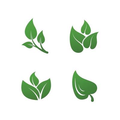 Green leaves logo plant nature eco garden stylized icon vector botanical collection