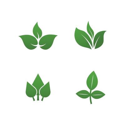 Green leaves logo plant nature eco garden stylized icon vector botanical collection