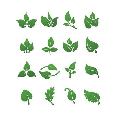 Green leaves logo plant nature eco garden stylized icon vector botanical collection