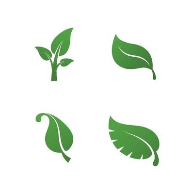 Green leaves logo plant nature eco garden stylized icon vector botanical collection