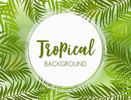 Beautiful Palm Tree Leaf  Silhouette Background Vector Illustration