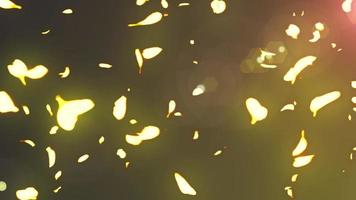 animación de bucle de partículas de hoja de flor de oro video