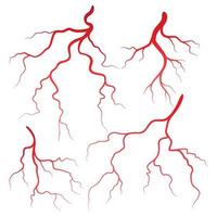 Human veins and arteries illustration vector