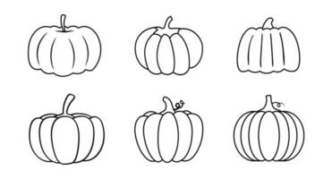 conjunto de calabazas en varias formas. ilustración de contorno vectorial. colección de lindas calabazas dibujadas a mano sobre fondo blanco. elementos para el diseño decorativo de otoño, cosecha. vector