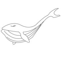 Hand drawn cute Whale Animal vector illustration isolated in a white background