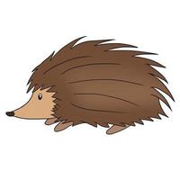 Hand drawn cute Hedgehog Animal vector illustration isolated in a white background