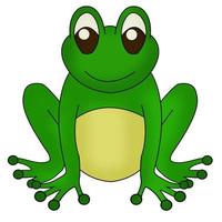 Hand drawn cute green frog isolated in a white background vector