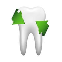 White tooth with two green arrow. Stomatology icon isolated on white background. Realistic vector illustration