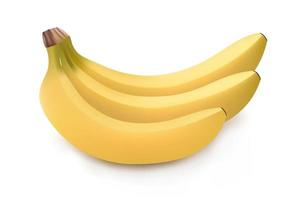 Ilustración realista de racimo de plátanos aislado sobre fondo blanco. icono de plátano. ilustración vectorial vector