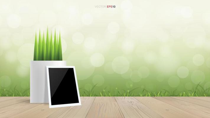 Blank photo frame and flower pot on wooden terrace with light blurred bokeh of green natural area background. Vector.