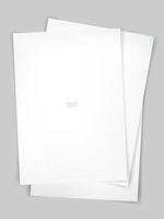 White paper on concrete texture background. Vector. vector