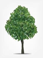 Abstract tree on white background for landscape design and architectural decoration. Vector. vector