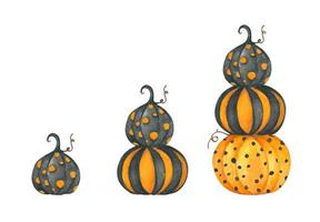 conjunto de calabazas de acuarela. Víspera de Todos los Santos. Ilustración de otoño. vector