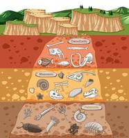 Scene with various animals bones and dinosaurs fossils in soil layers vector