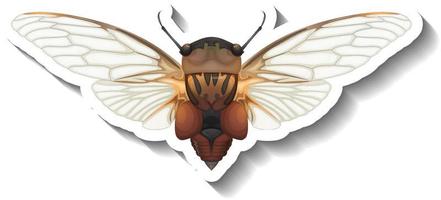 A sticker template with top view of honey bee isolated vector