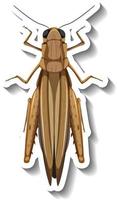 A sticker template with top view of a grasshopper isolated vector