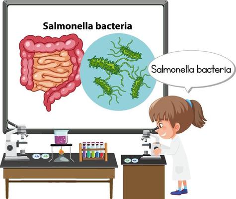 Young doctor explaining salmonella bacteria