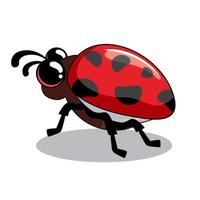 Ladybug Illustrations Cartoon vector