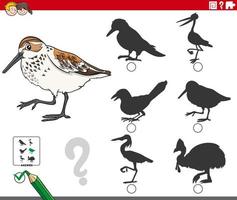 shadows game with cartoon western sandpiper bird vector