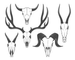 Animal skulls illustrations vector