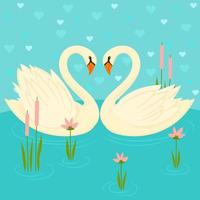 Two swans on the lake. Swans in a pond water plants vector