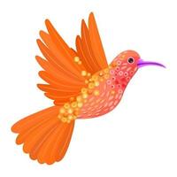 Orange hummingbird flying swiftly vector