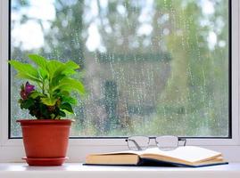 There is a flower pot on the windowsill. An open book lies nearby. There are glasses on the book. Raindrops in the window. The concept is home rest. photo