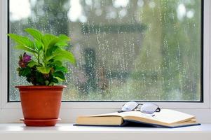 There is a flower pot on the windowsill. An open book lies nearby. There are glasses on the book. Raindrops in the window. The concept is home rest. photo