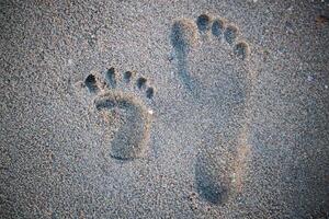 Close up photo of right human footprint beside child footprint on the tropical sand beach