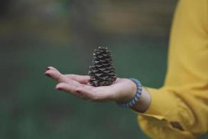 Joven inconformista mujer caucásica tiene cono de pino en el bosque foto