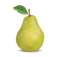 pears isolated on white background. Vector illustration