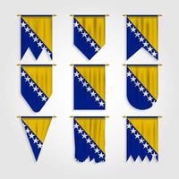 Bosnia and Herzegovina flag in different shapes vector