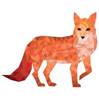 Vulpecula the little fox constellation. Horoscope mythology astrology animal character. Zodiacal art figure fox with stars vector