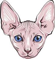colorful portrait of a cat muzzle. Sphinx cat portrait beautiful eyes vector