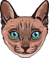 colorido retrato de un hocico de gato. retrato de gato siamés ojos hermosos vector