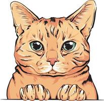 gato escocés. felino mullido retrato dibujado a mano de un gato. vector