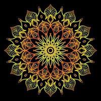 Indian mandala art vector