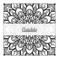 Abstract Background with mandala vector