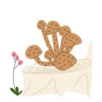 A group of brown mushrooms on a stump vector