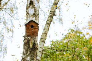 Birdhouse on the tree photo