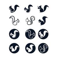 Squirrel logo images illustration vector