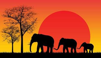 elephant shadow isolated Africa Forest sunset safari vector