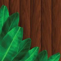 Foliage and Wooden Wall vector